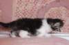 chulda4vi224202642_small.jpg