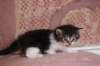 chulda4vi224202650_small.jpg
