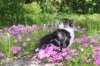 chulda95weeks295202611_small.jpg