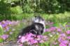 chulda95weeks295202612_small.jpg
