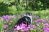 chulda95weeks295202613_small.jpg