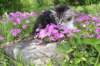 chulda95weeks295202616_small.jpg