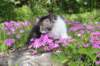 chulda95weeks295202619_small.jpg