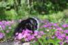 chulda95weeks295202624_small.jpg