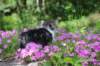 chulda95weeks295202628_small.jpg