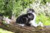 chulda95weeks29520263_small.jpg