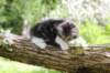 chulda95weeks29520266_small.jpg