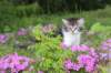 chulda95weeks2952026ilta10_small.jpg