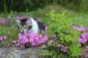 chulda95weeks2952026ilta16_small.jpg