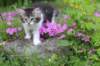 chulda95weeks2952026ilta18_small.jpg