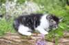 chulda95weeks2952026ilta1_small.jpg