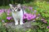chulda95weeks2952026ilta20_small.jpg