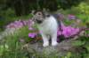 chulda95weeks2952026ilta22_small.jpg