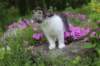 chulda95weeks2952026ilta24_small.jpg