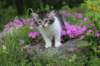 chulda95weeks2952026ilta26_small.jpg