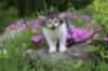 chulda95weeks2952026ilta27_small.jpg
