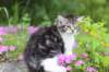 chulda95weeks2952026ilta32_small.jpg