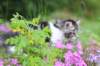 chulda95weeks2952026ilta34_small.jpg