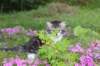 chulda95weeks2952026ilta3_small.jpg