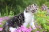 chulda95weeks2952026ilta44_small.jpg
