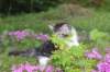 chulda95weeks2952026ilta4_small.jpg