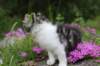 chulda95weeks2952026ilta57_small.jpg
