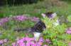 chulda95weeks2952026ilta5_small.jpg