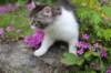 chulda95weeks2952026ilta60_small.jpg