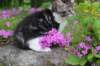 chulda95weeks2952026ilta61_small.jpg