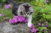 chulda95weeks2952026ilta66_small.jpg