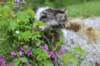 chulda95weeks2952026ilta67_small.jpg