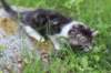 chulda95weeks2952026ilta72_small.jpg