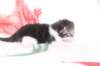 chuldafn032225weeks10420267_small.jpg