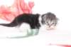 chuldafn032225weeks10420269_small.jpg