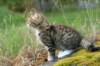 img_7482_small.jpg