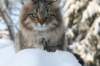 img_9351_small.jpg