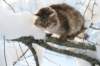 img_9420_small.jpg