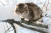 img_9421_small.jpg