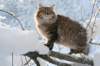 img_9424_small.jpg