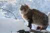 img_9431_small.jpg