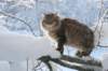img_9432_small.jpg