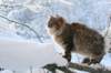 img_9433_small.jpg