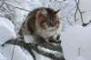 img_9479_small.jpg