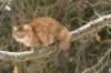 img_3828_small.jpg