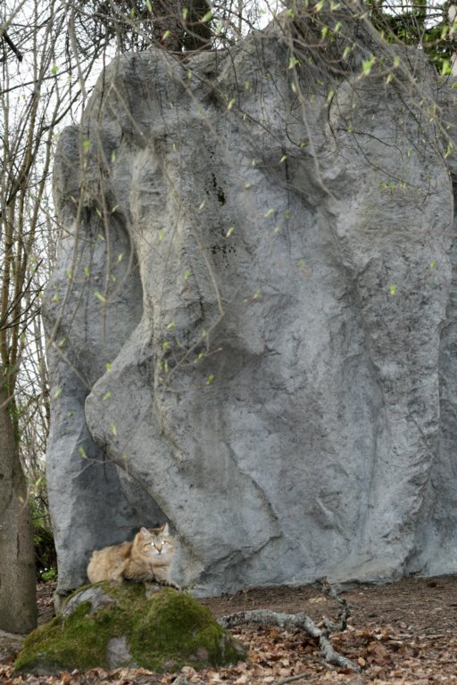 carupitaandbigstone8.jpg
