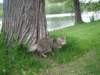 Photo Number 11