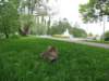 Photo Number 4