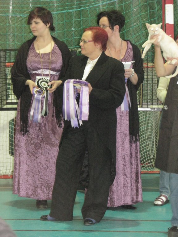 urk25vjuhlanyttelyurk25thanniversarycatshow4.jpg