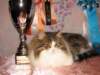 Photo Number 13