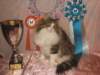 Photo Number 8